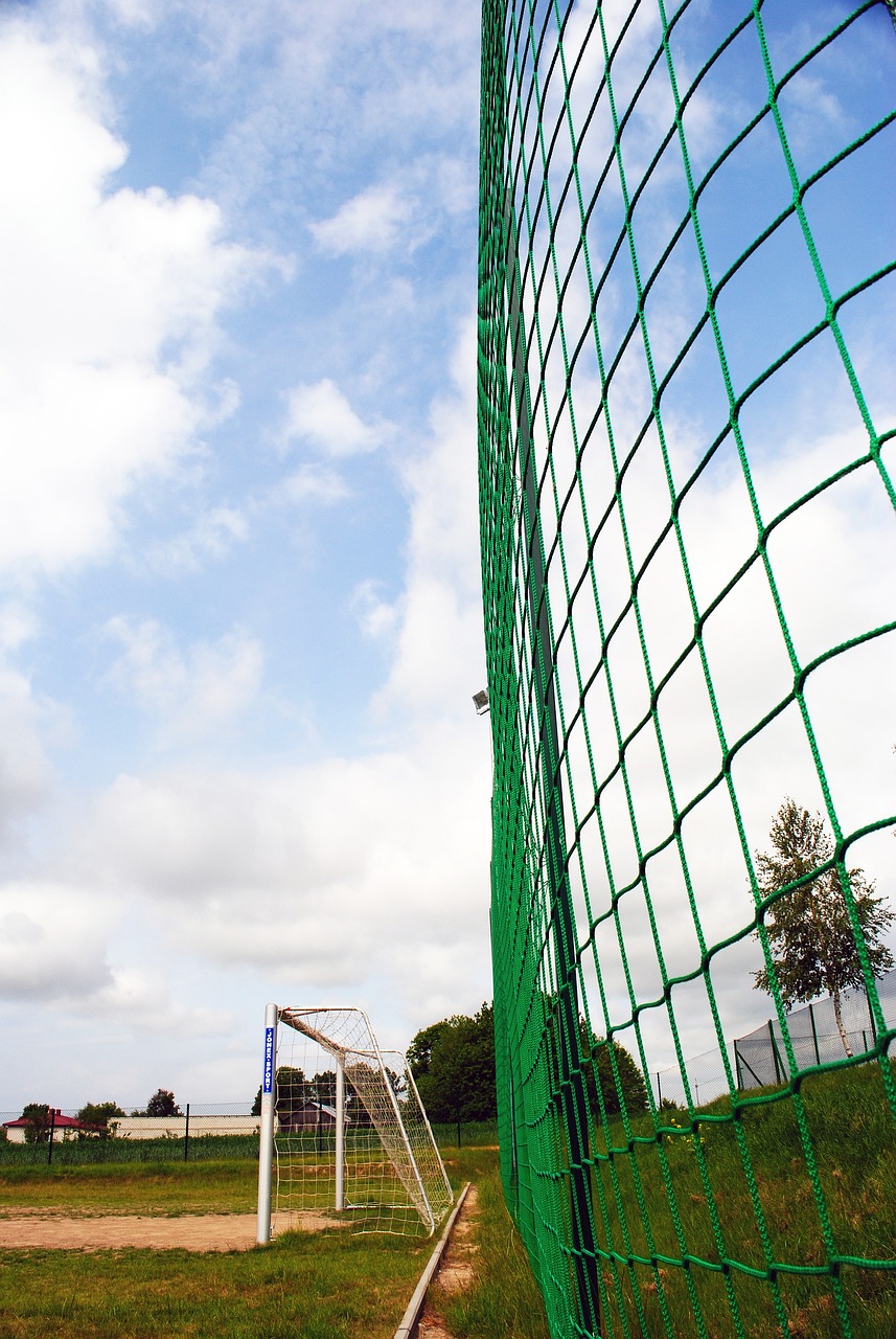 既需要个体 既需要个体