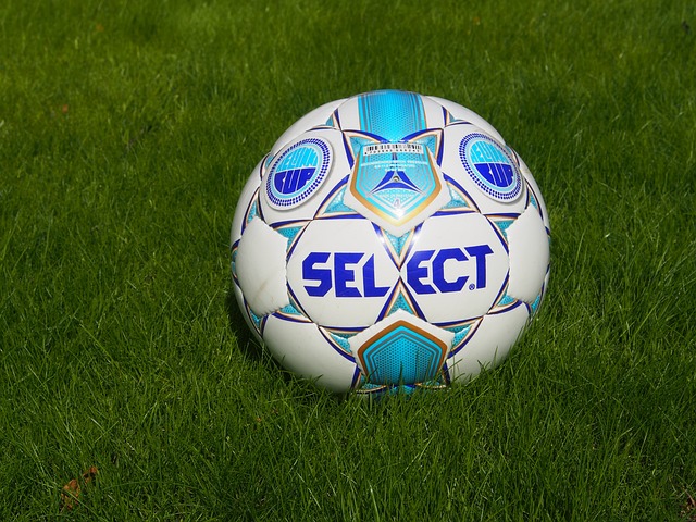 职业球员在 职业球员在