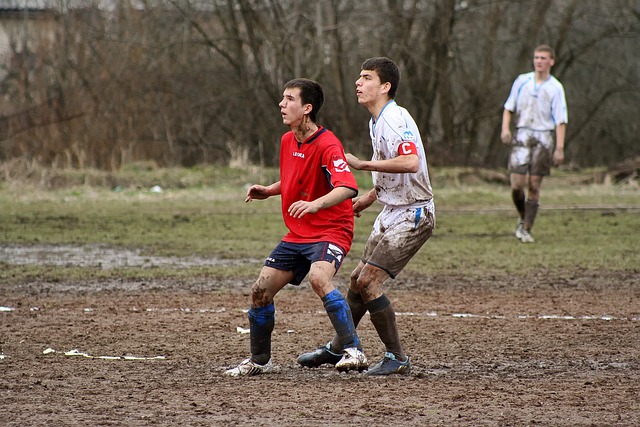 进一步巩固 进一步巩固