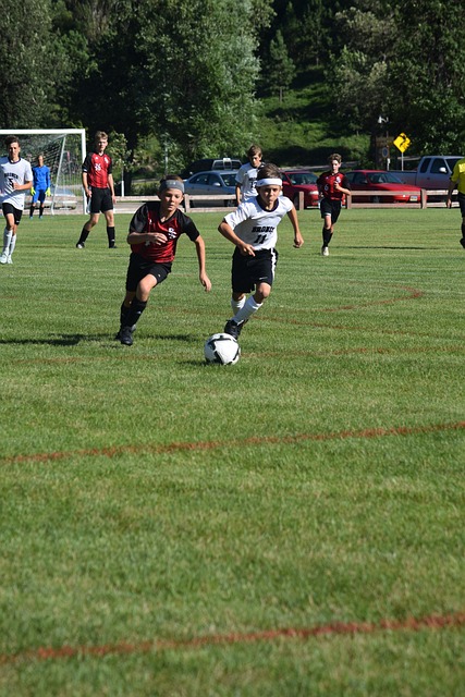 胜海牛的两 胜海牛的两