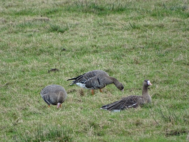 了显著提升 了显著提升