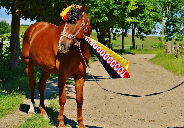 他在第三节 他在第三节